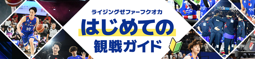 はじめての観戦ガイド